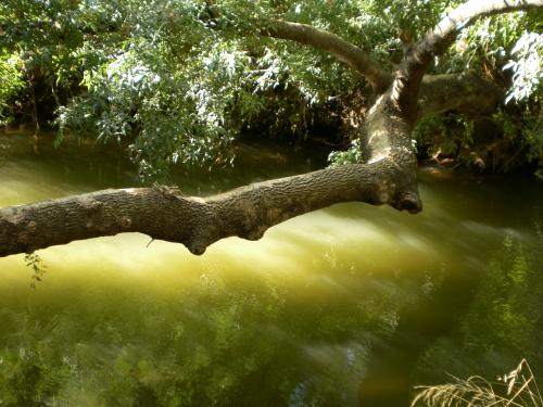 מקורות הירדן