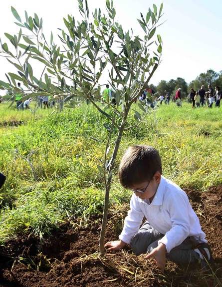 ילד נוטע ילד נוטע